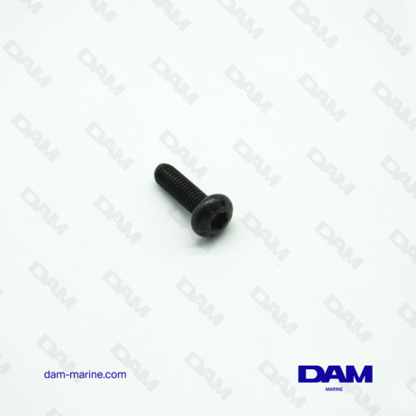 ROCKER COVER SCREW 6P