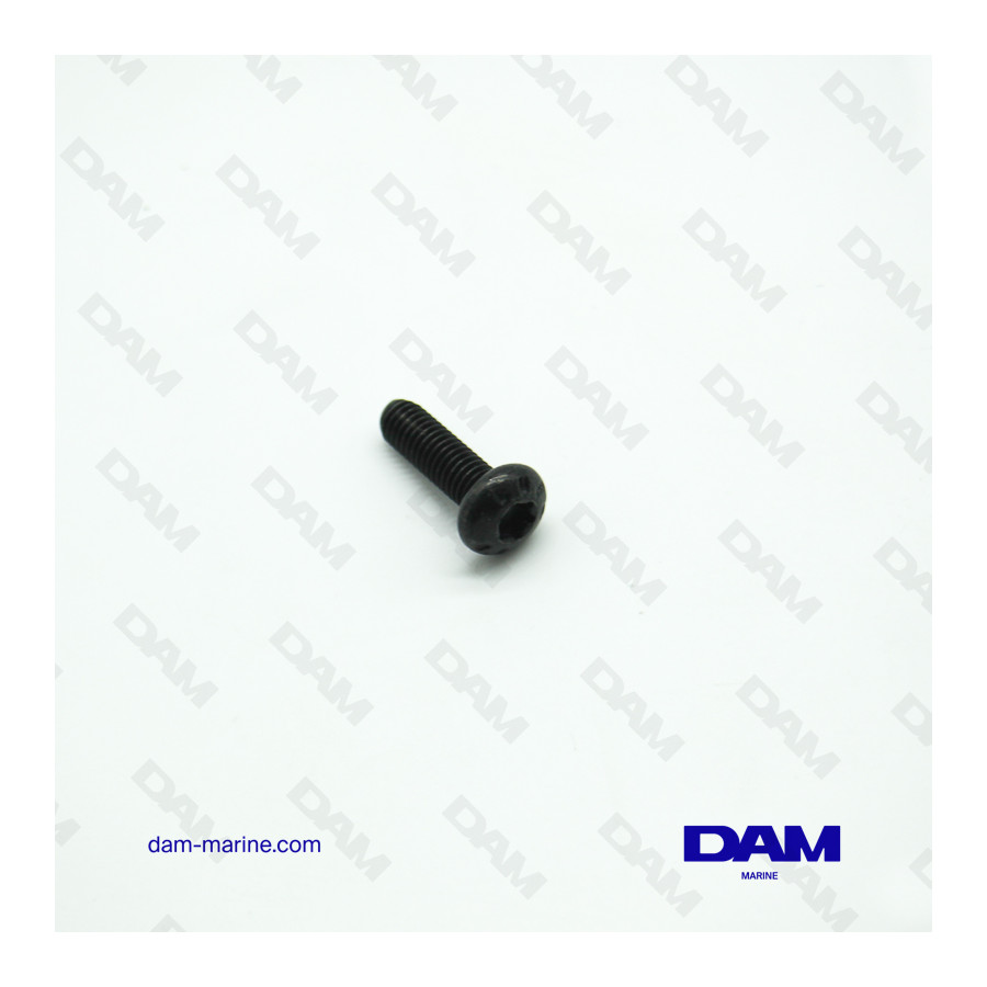 ROCKER COVER SCREW 6P