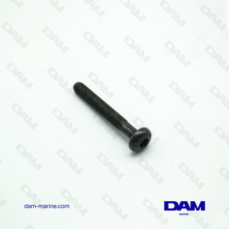 ROCKER COVER SCREW 6P