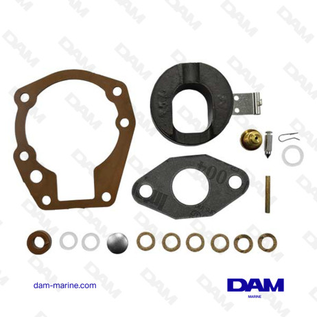 BRP CARBURETOR KIT