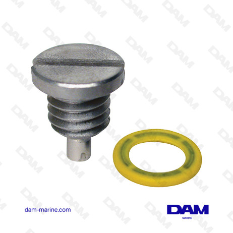 DRAIN PLUG AND MERCURY GASKET