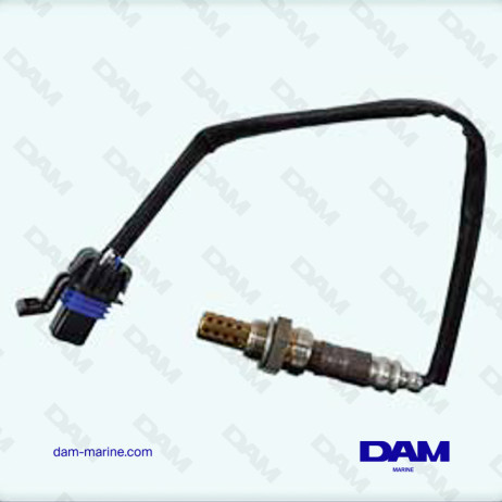 CATALYSIS OXYGEN SENSOR