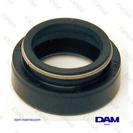 OIL SEAL BRP 0341280