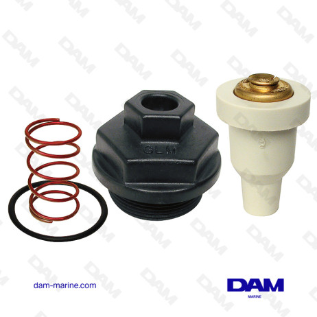 KIT THERMOSTAT-CARTER BRP 0435597