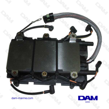 BRP ELECTRONIC BOX 0584985