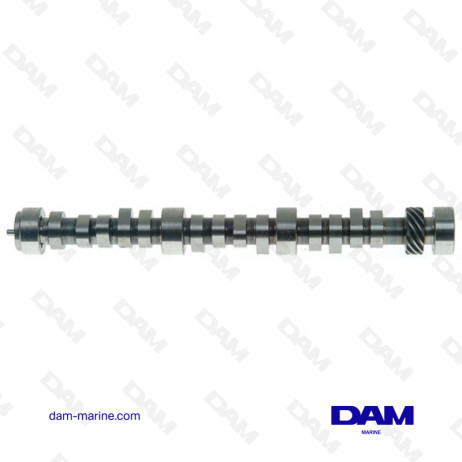 CAMSHAFT GM262 V6 - ROLLER NON MPI