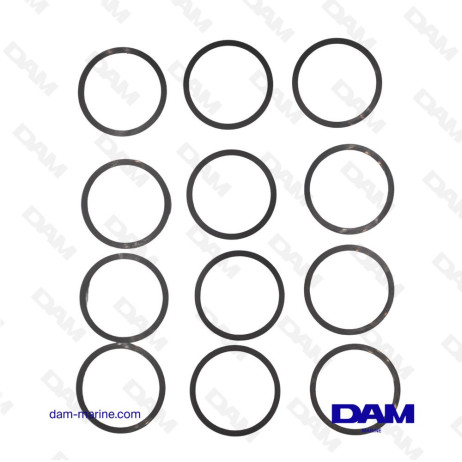 KIT SHIMS SAILDRIVE YANMAR 196311-02310