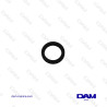 SEAL RING 831617