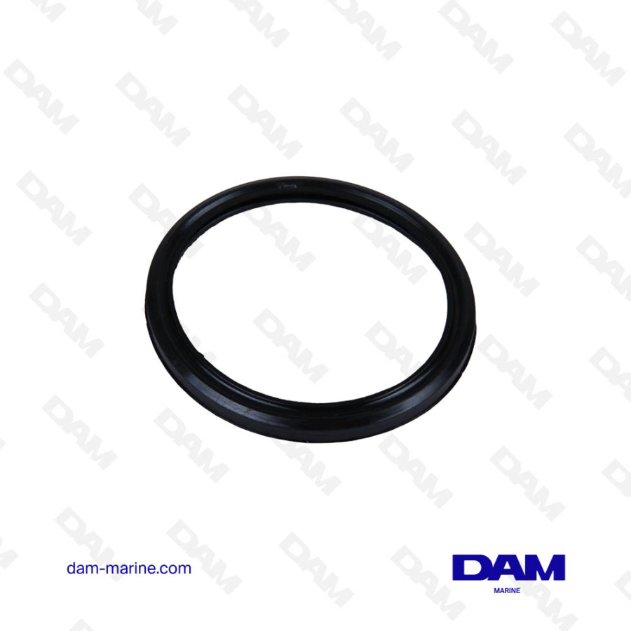 WATER FILTER GASKET VOLVO - 842724