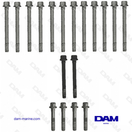 HEAD BOLT KIT GM 496 - 8.1L