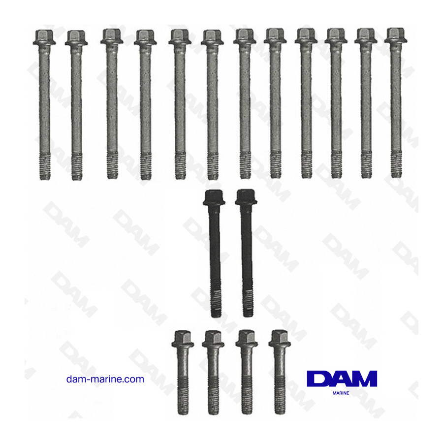 HEAD BOLT KIT GM 496 - 8.1L