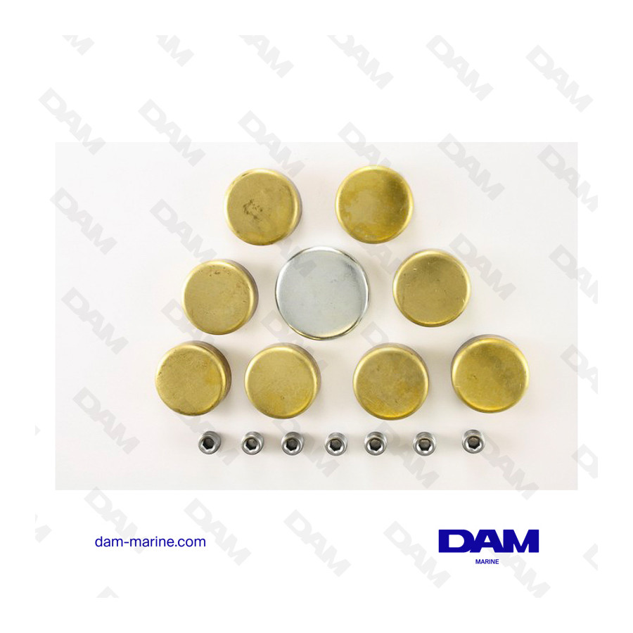 KIT PASTILLES DE DESSABLAGE GM V8 BB - G4