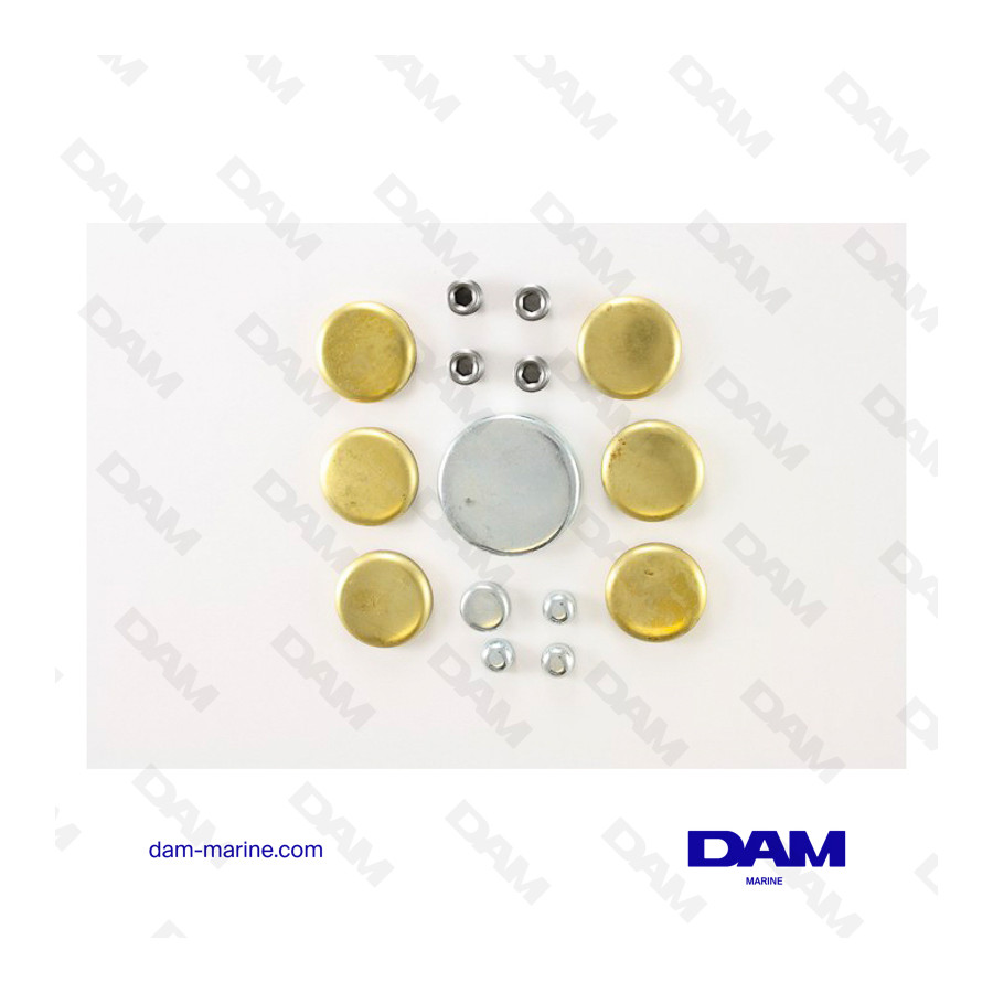 KIT DE ALMOHADILLAS DE DESARENADO FORD V8