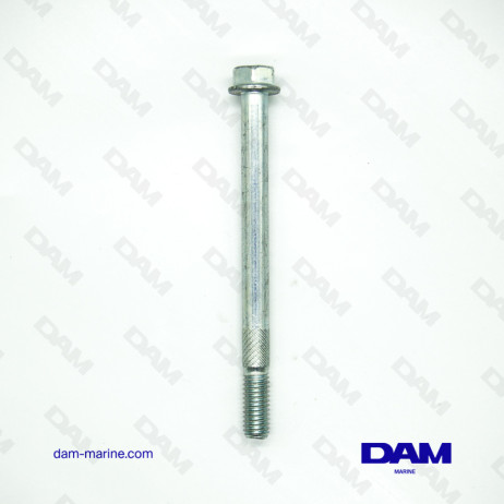 STARTER SCREW 12CM