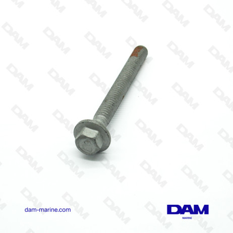 6L HEAD SCREWS