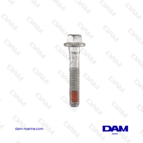 6L HEAD SCREWS