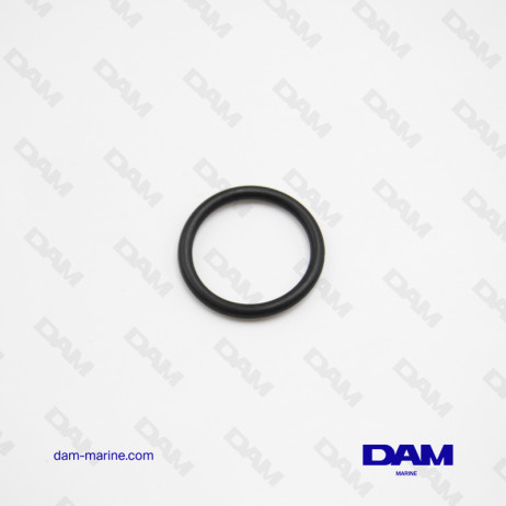 PCM O-RING