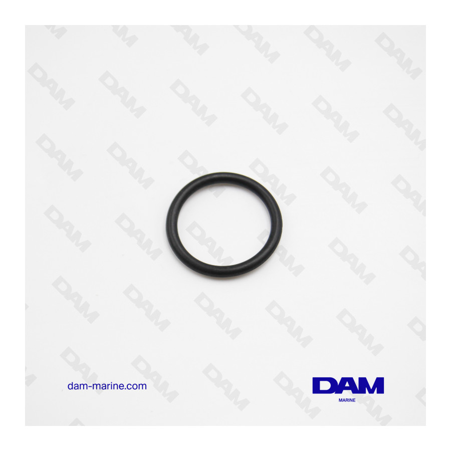 PCM O-RING