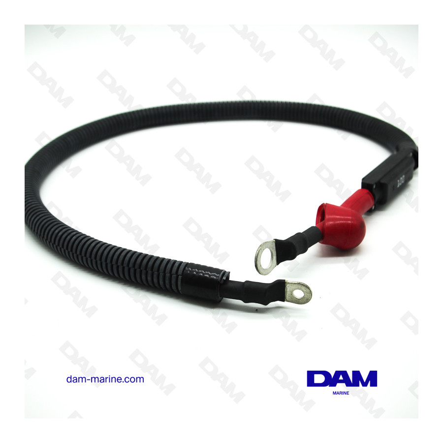 FUSIBLE DEL MAZO DE CABLES 100AMP PCM EX/ZR