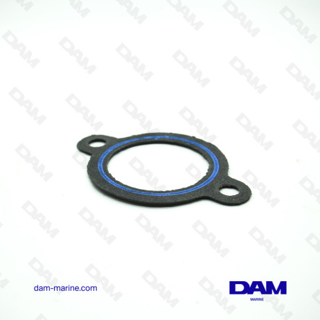 PCM THERMOSTAT CARTER GASKET