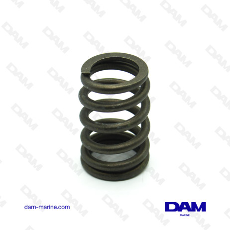 GM496 VALVE SPRING