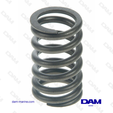 GM 225 VALVE SPRING