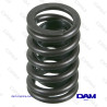 DOUBLE VALVE SPRING GM 4...