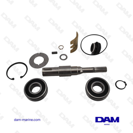 KIT EJE BOMBA AGUA VOLVO D4 - 21418999