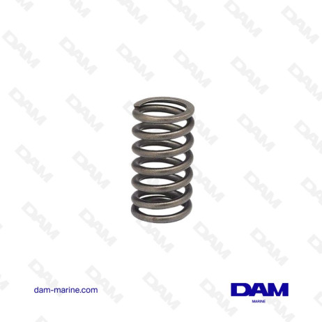 VOLVO VALVE SPRING - 465233