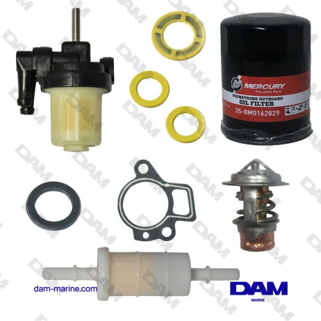 KIT MANTENIMIENTO MERCURY EFI 40-60CV - 100HRS