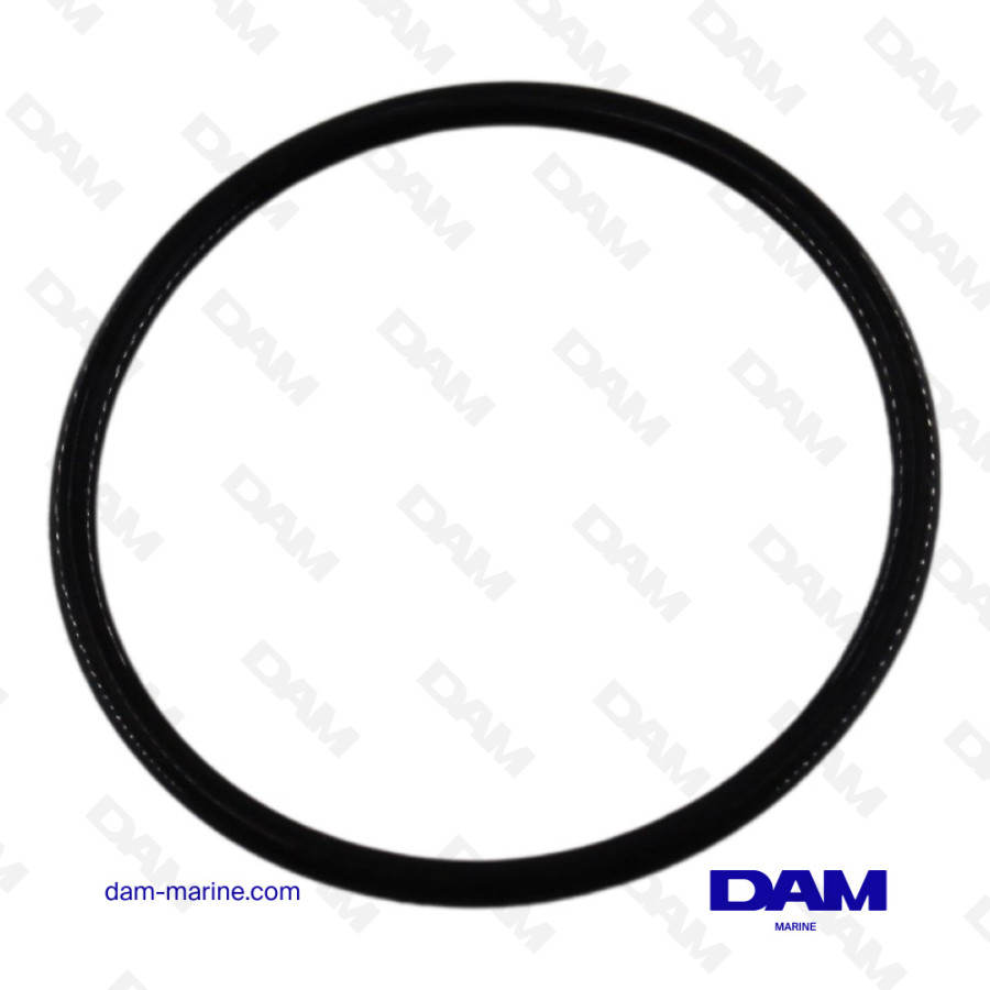 FUEL FILTER O-RING