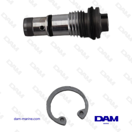 VALVE DECHARGE TRIM SUZUKI - 48864-93J01