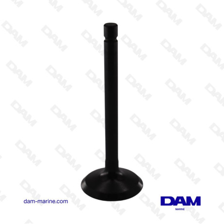 INTAKE VALVE VOLVO - 3884528