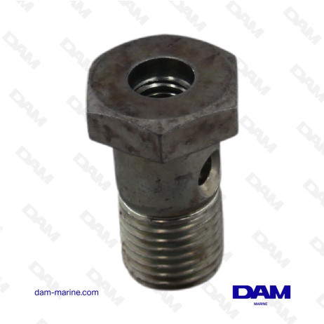 TORNILLO HUECO YANMAR 129495-59300