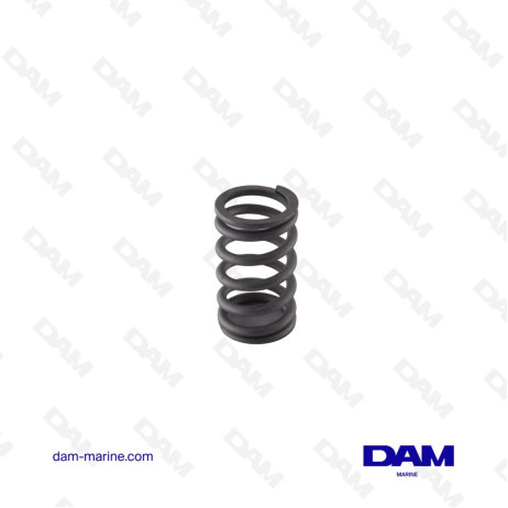 VALVE SPRING SUZUKI DF150 - 300 12921-93J11