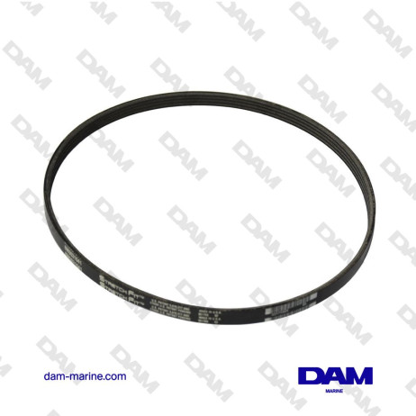 SERPENTINE BELT MERCURY