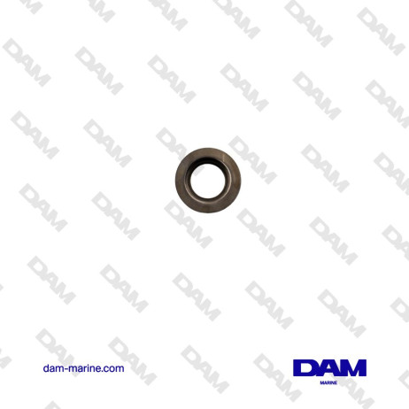 CUP SPRING VOLVO VALVE