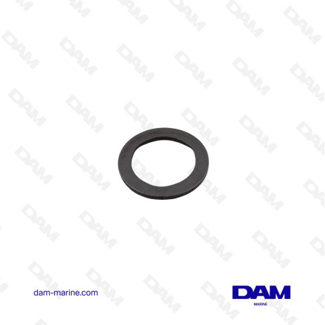 BRP BASE WASHER - 0314731