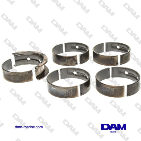 BEARING BEARINGS GM V8 5.3 - 6.2L STD