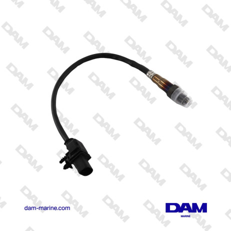 CATALYSIS OXYGEN SENSOR