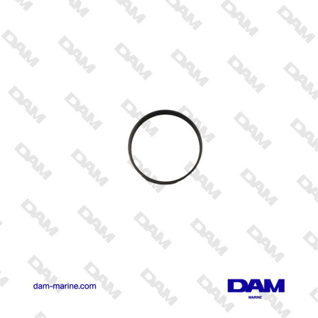 FISCHER PANDA CRANKSHAFT RING - 0001340*