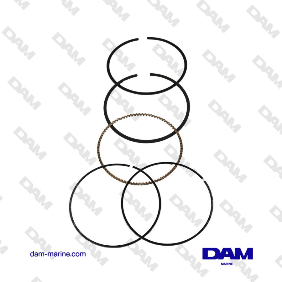 SEGMENTS GM325 V8 6.2L H6 - STD