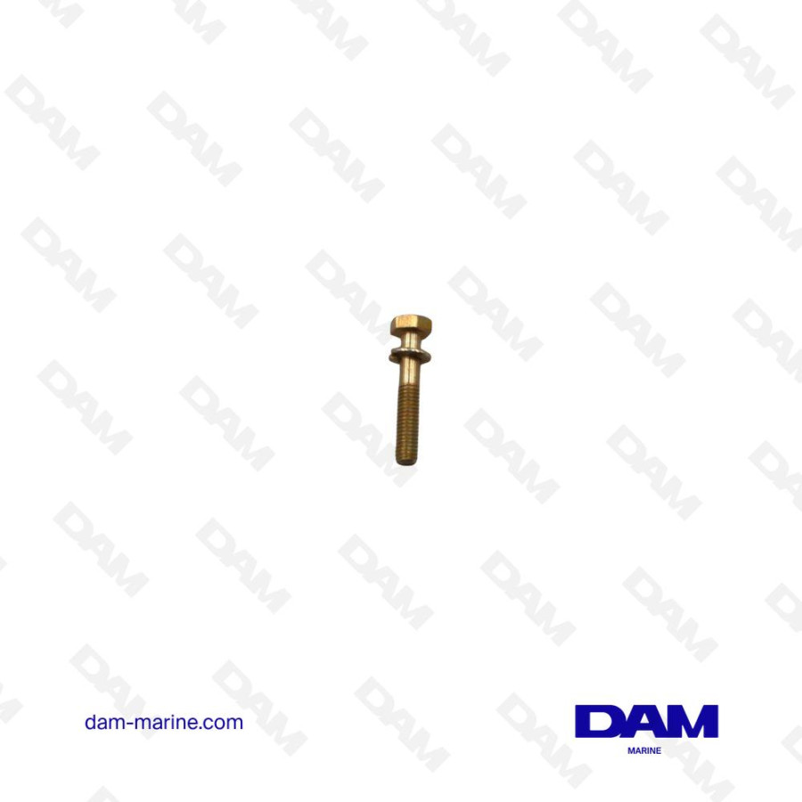 PUMP SCREW OLVO 3580258