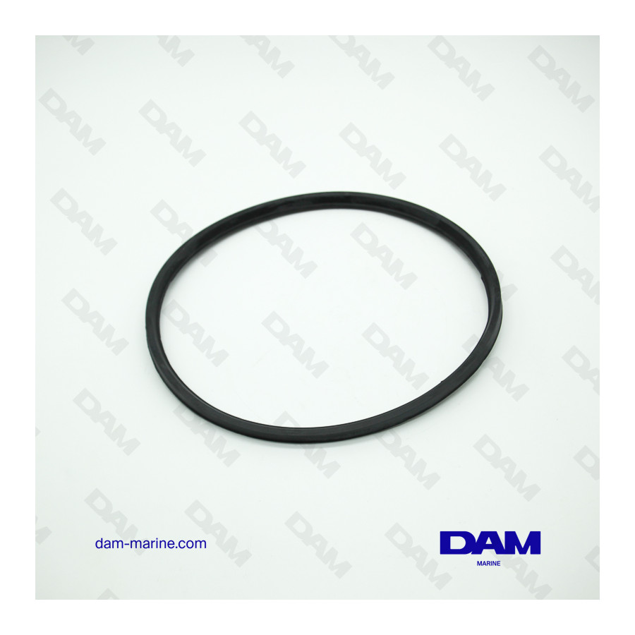 BRP SMOKE GASKET *