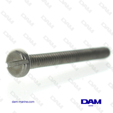 BRP FUEL PUMP FIXING SCREW *