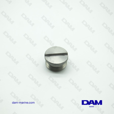 BRP DRAIN PLUG *