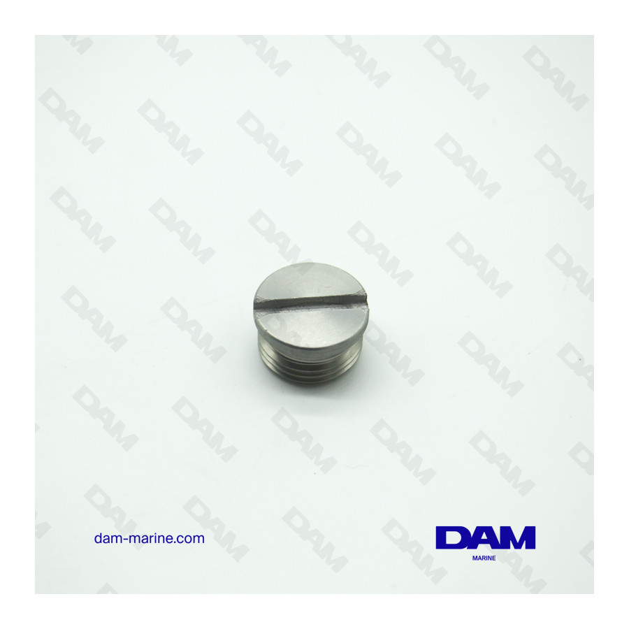 BRP DRAIN PLUG *