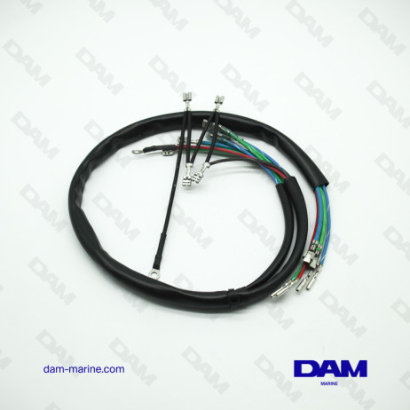 BRP ENGINE WIRING HARNESS *