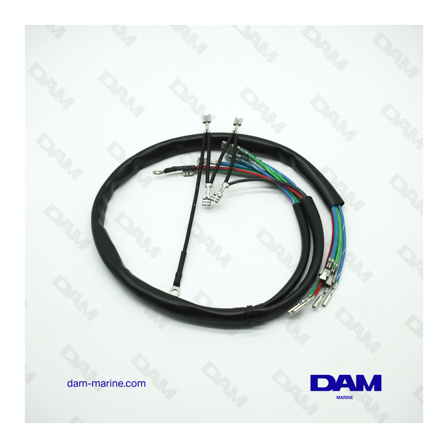 ARNÉS DE CABLES DEL MOTOR BRP *