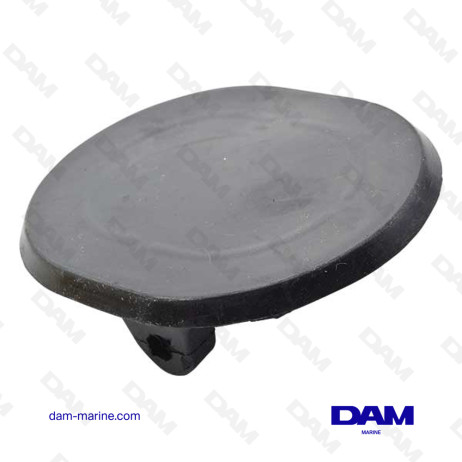 CLAPET DE CORNE OMC VOLVO GM